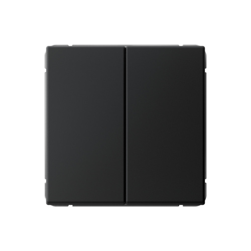 2-кл. ВЫКЛЮЧАТЕЛЬ КНОПОЧНЫЙ, сх.2, 10А, мех-м, КАРБОН