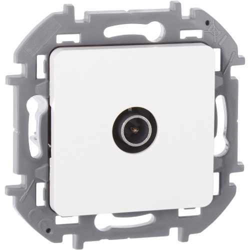 Роз TV звезда БЕЛ INSPIRIA