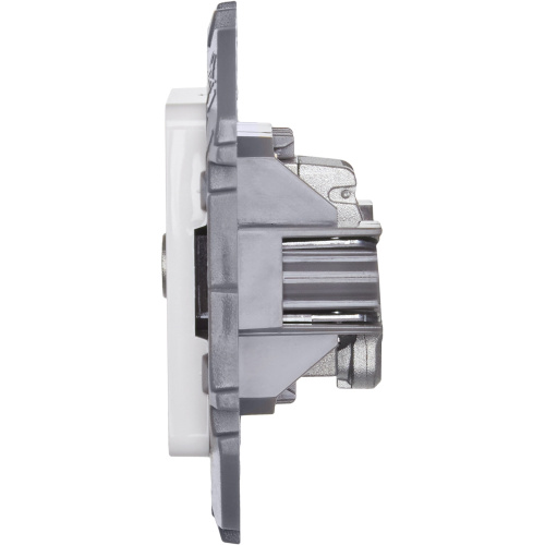 Роз TV звезда БЕЛ INSPIRIA