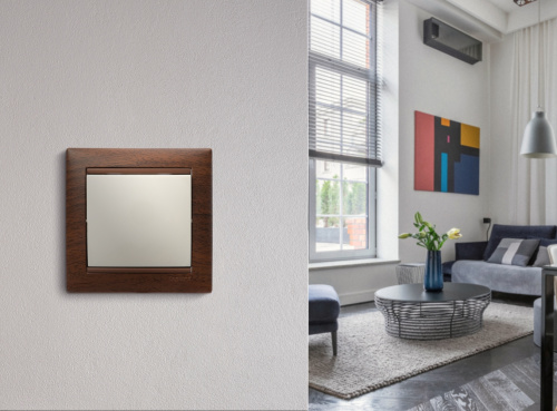 Выключатель 10A СЛНК VLN