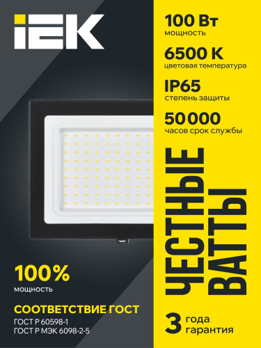 ПрожекторСДО06-100светодиодныйчерныйIP656500KIEK