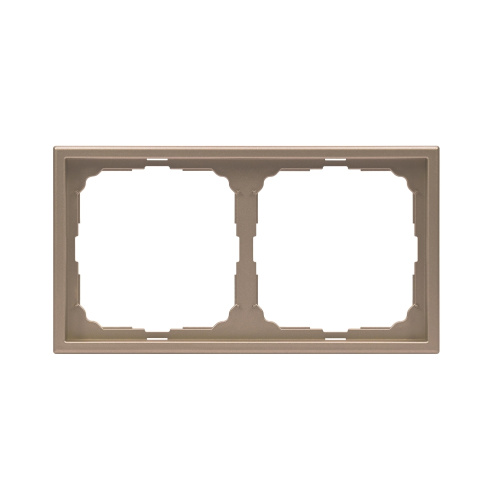 2-постовая РАМКА, универ., ШАМПАНЬ