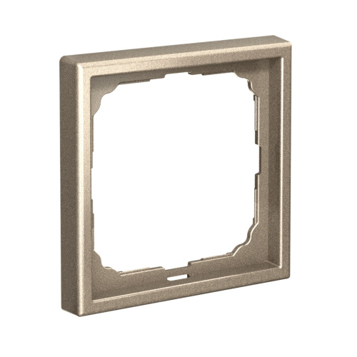 1-постовая РАМКА, ШАМПАНЬ