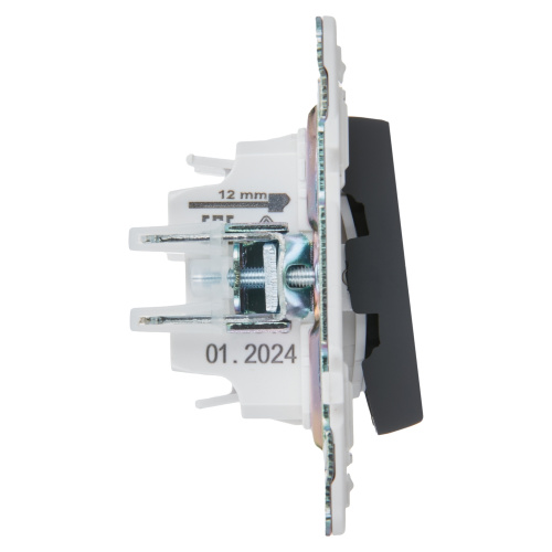 SKANDY Выключатель 2-клавишный 10А SK-V04G графит IEK