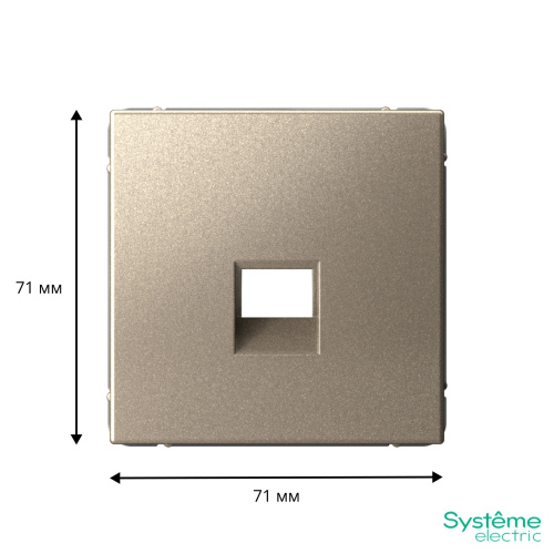 НАКЛАДКА для информационных функций типа Keystone, ШАМПАНЬ