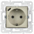 SKANDY Розетка с заземлением с защитными шторками 16А с USB C 18Вт SK-R17B бежевый IEK