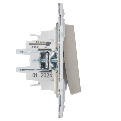 SKANDY Выключатель 1-клавишный с индикацией 10А SK-V07Sh шампань IEK