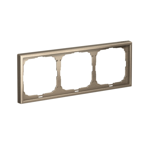 3-постовая РАМКА, универ., ШАМПАНЬ