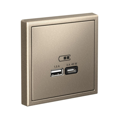 USB РОЗЕТКА A + тип-C 45Вт высокоскор.заряд. QC, PD, мех-м, ШАМПАНЬ