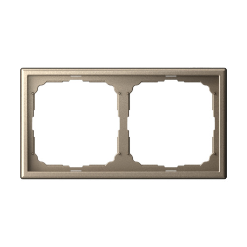 2-постовая РАМКА, универ., ШАМПАНЬ