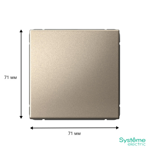1-кл. ВЫКЛЮЧАТЕЛЬ, сх.1, 10АХ, ШАМПАНЬ