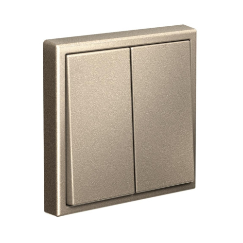 2-кл. ВЫКЛЮЧАТЕЛЬ, сх.5, 10АХ, мех-м, ШАМПАНЬ