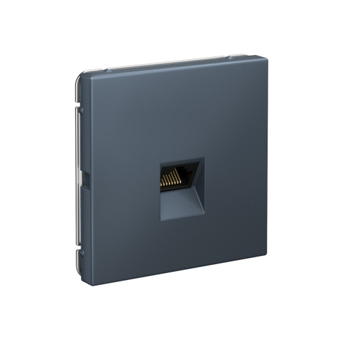 РОЗЕТКА компьютерная RJ45, кат. 6A, мех-м, ГРИФЕЛЬ