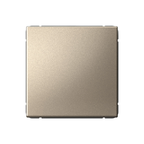 1-кл. ВЫКЛЮЧАТЕЛЬ КНОПОЧНЫЙ, 10А, мех-м, ШАМПАНЬ