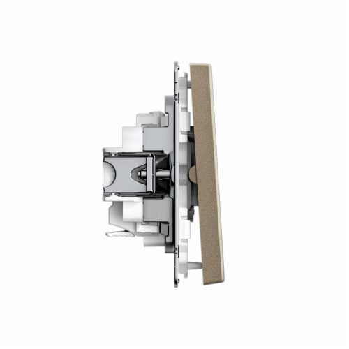 2-кл. ВЫКЛ.,, 10АХ, м-зм, быстрозажим. клем., ШАМПАНЬ