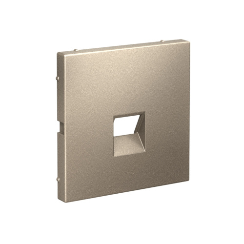 НАКЛАДКА для информационных функций типа Keystone, ШАМПАНЬ