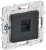SKANDY Розетка компьютерная RJ45 кат.5E SK-K01G графит IEK SKANDY Розетка компьютерная RJ45 кат.5E SK-K01G графит IEK