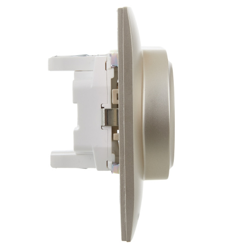 SKANDY Розетка 2-местная с заземлением без защитных шторок 16А в сборе SK-R08Sh шампань IEK