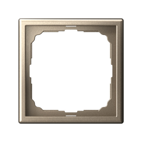 1-постовая РАМКА, ШАМПАНЬ