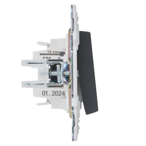 SKANDY Выключатель 1-клавишный проходной 10А SK-V02G графит IEK